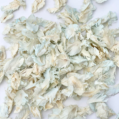 Blue Ivory Petals