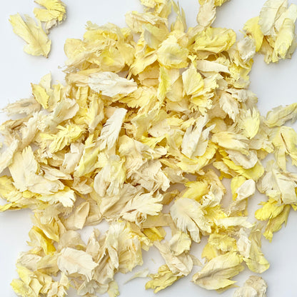 Yellow Ivory Petals