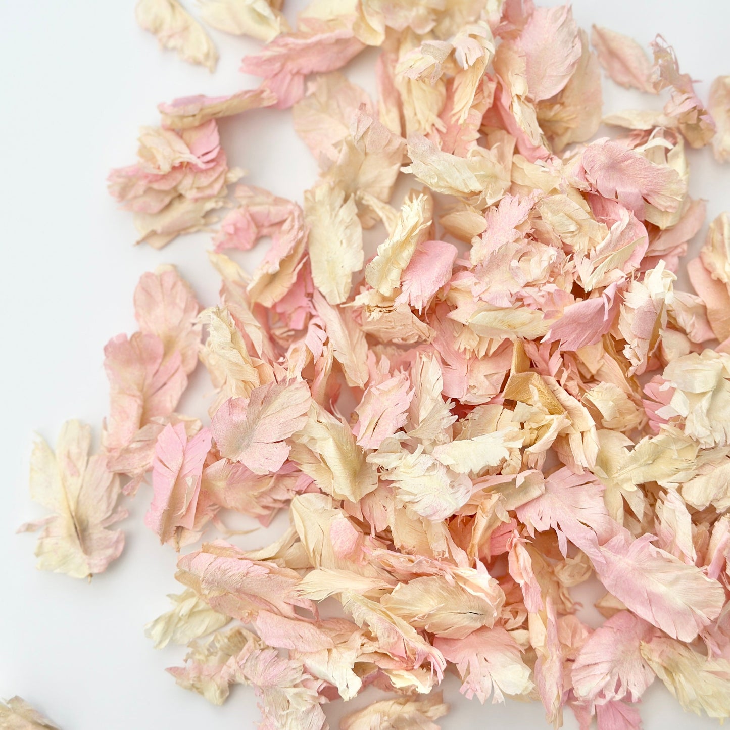 Pink Ivory Petals