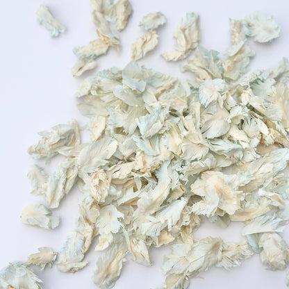 Blue Ivory Petals